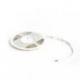 LED STRIP IP54 5m    12V LED 60W IP54  4000K