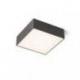 LARISA SQ 17 sufitowa czarna  230V LED 15W  3000K