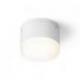 ORIN R sufitowa biała akryl satynowy 230V LED 10W IP54 3000K