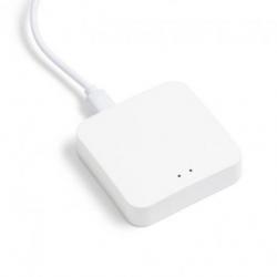 VEGA TUYA brama biała