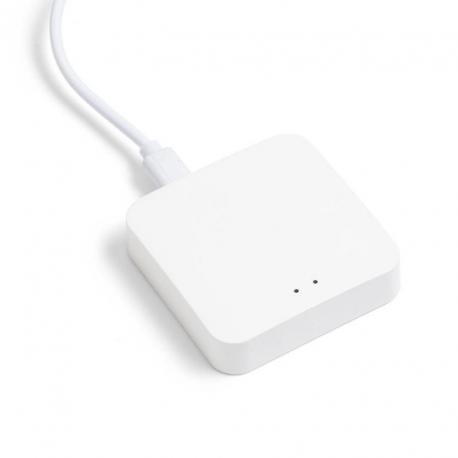 VEGA TUYA brama biała